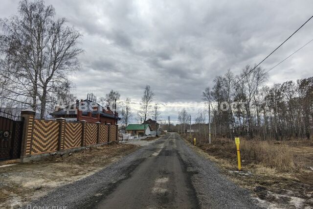 ул Семёна Урусова городской округ Тюмень фото