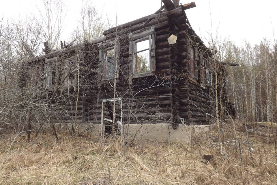 земля городской округ Бор, деревня Сосновка фото 3