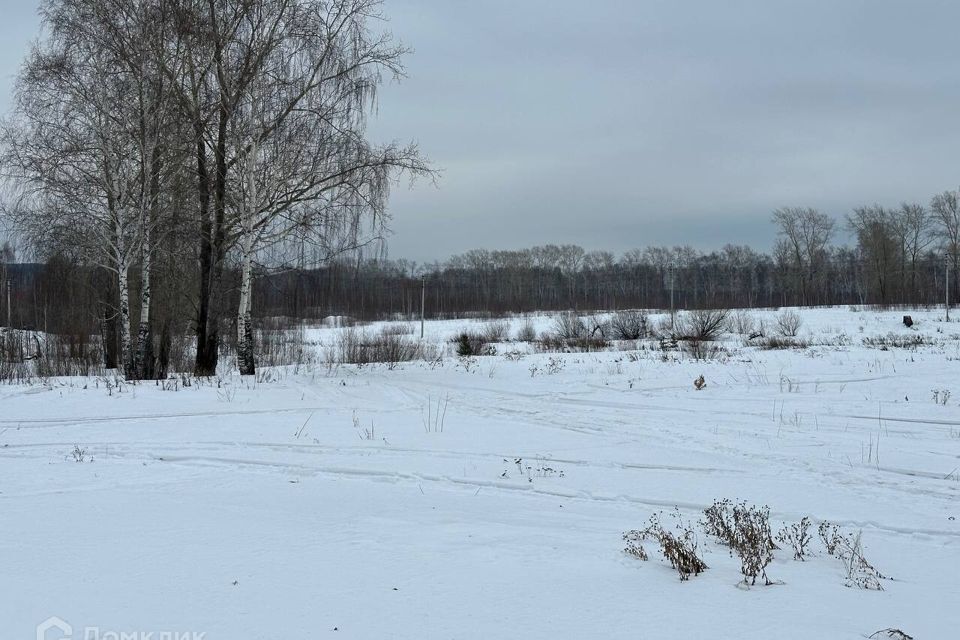земля г Первоуральск городской округ Первоуральск, СНТ Северное фото 4