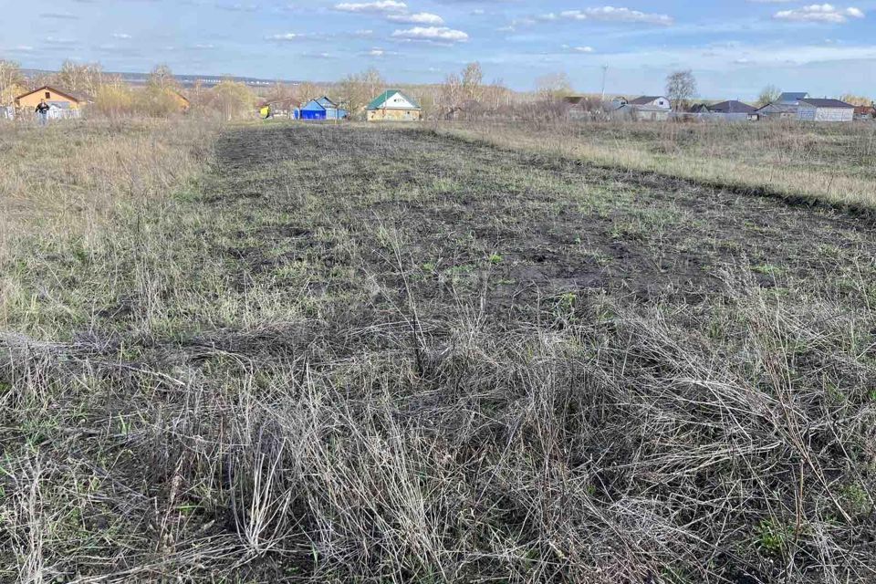 земля р-н Пензенский село Богословка фото 2