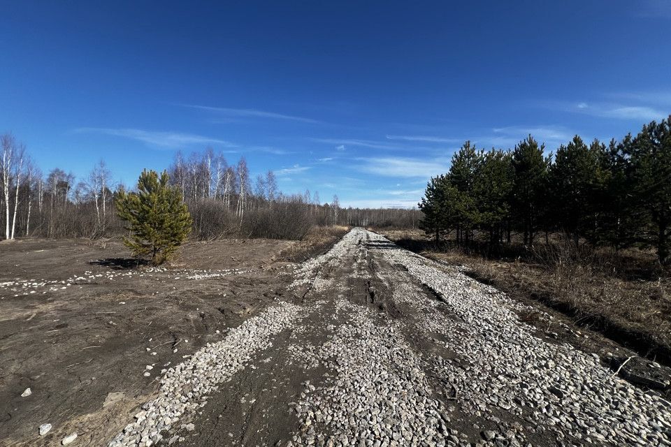 земля р-н Нижнетавдинский садоводческое некоммерческое товарищество Берёзка фото 6