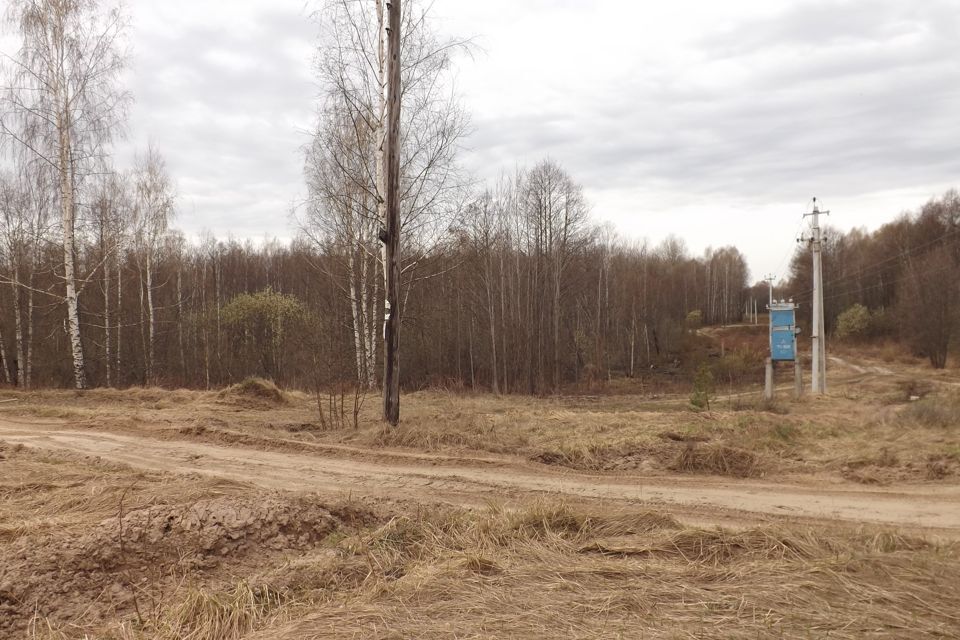 земля городской округ Бор, деревня Сосновка фото 5