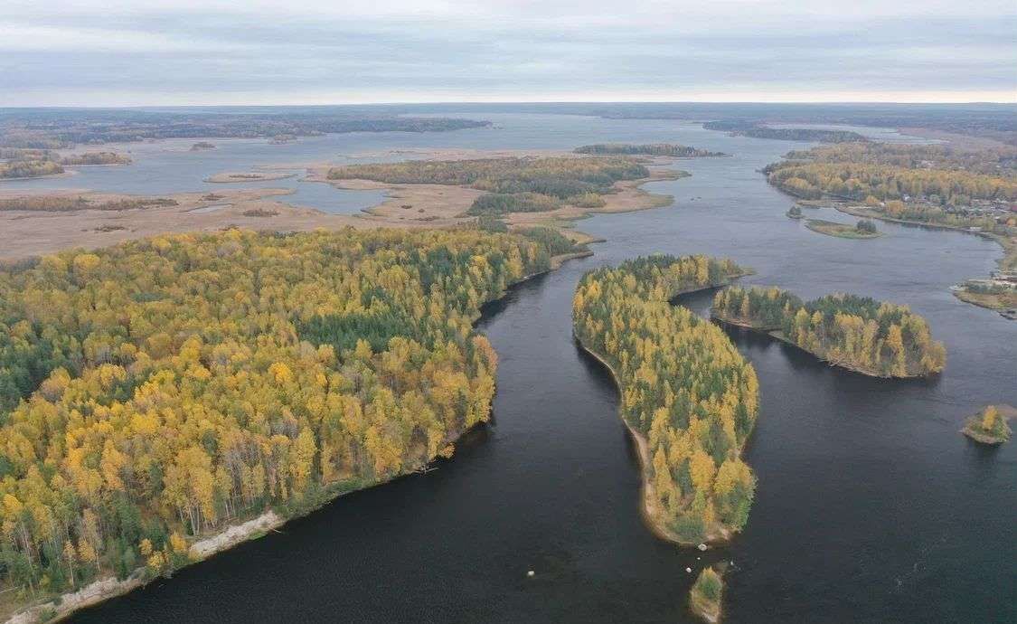 земля р-н Выборгский п Красносельское Трасса Сортавала, 77 км, Гончаровское сельское поселение фото 12