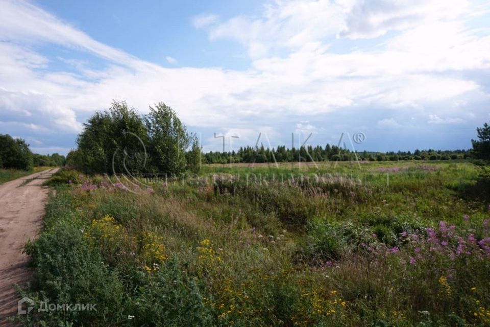 земля р-н Лодейнопольский Лодейнопольское городское поселение фото 1