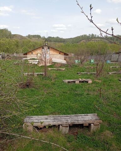 земля д Галкино Потапово-Тумбарлинское сельское поселение, Бавлы фото