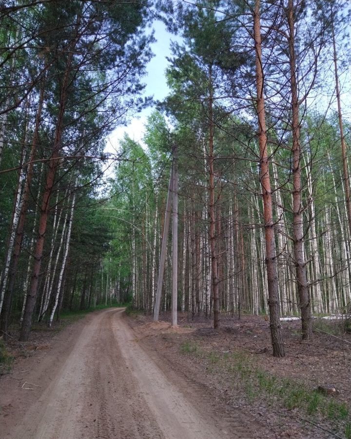 земля р-н Лысковский г Лысково сельский пос. Бор, ул. Куликова фото 6