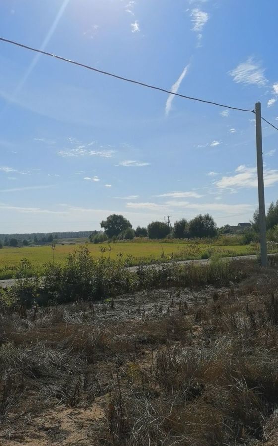 земля р-н Ярославский д Медведево Заволжское сельское поселение, Ярославль фото 2