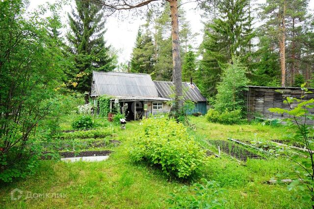 снт Медик ул Рябиновая муниципальное образование Северодвинск фото