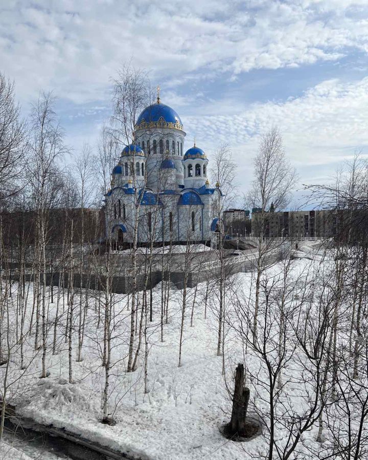 квартира г Сургут р-н Северный жилой ул Островского 9 Тюменская обл. фото 10