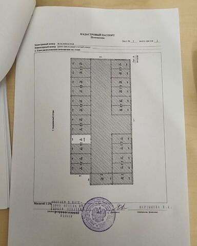 г Иркутск р-н Свердловский ул Багратиона 25/3 фото