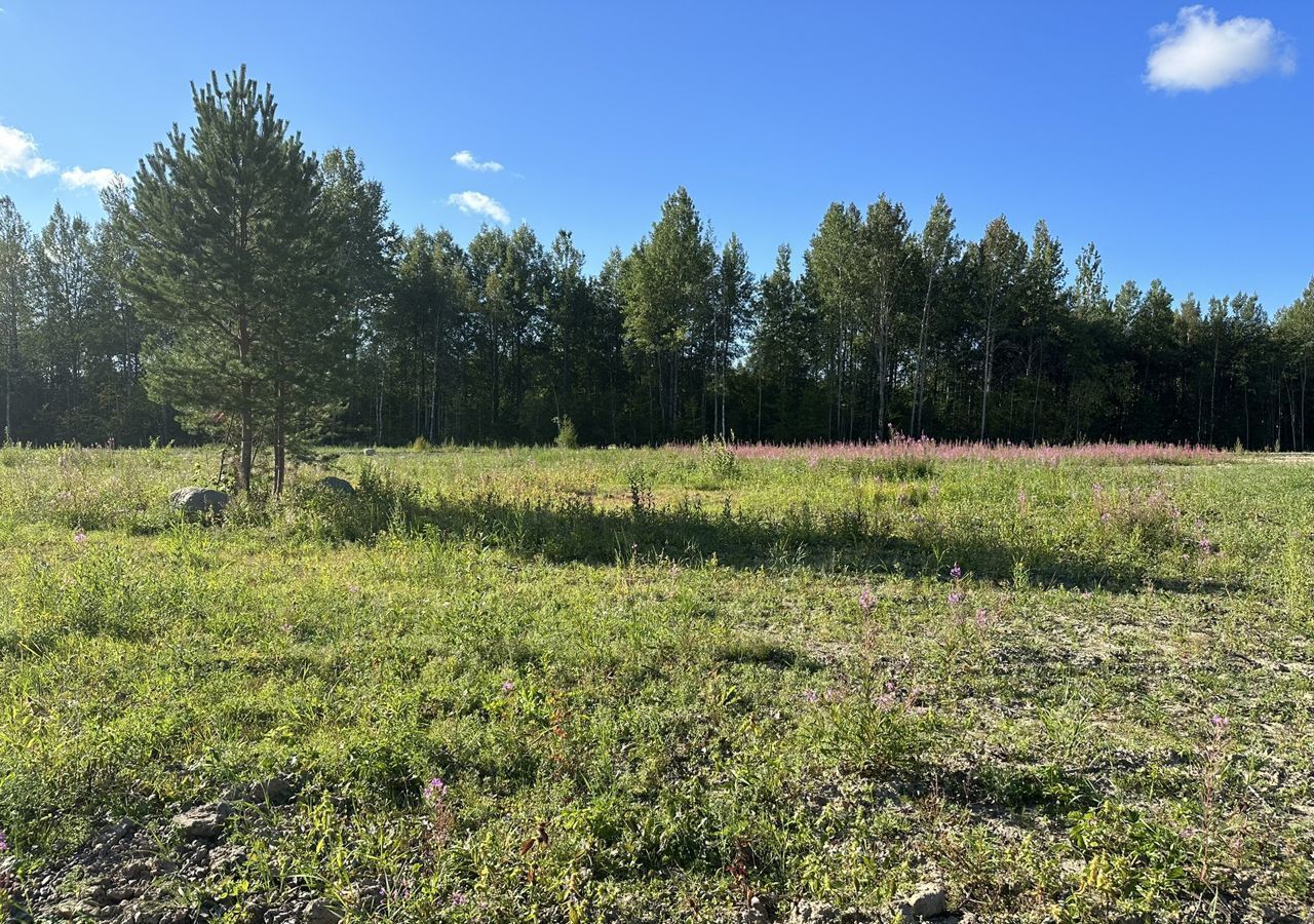 земля р-н Кировский д Турышкино Мгинское городское поселение, Мга фото 1