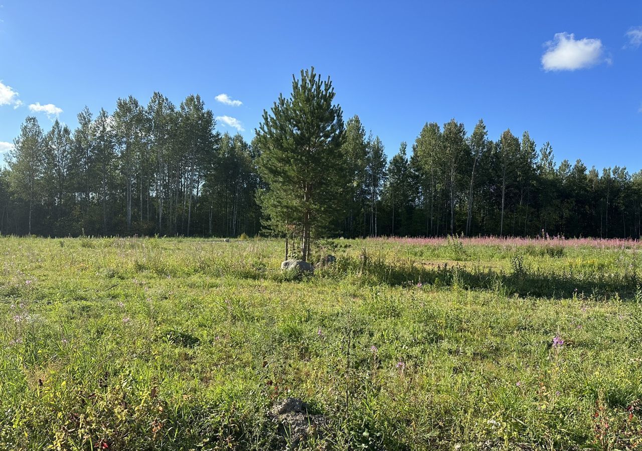 земля р-н Кировский д Турышкино Мгинское городское поселение, Мга фото 2