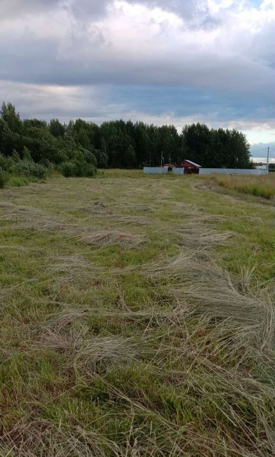 земля р-н Рыбинский д Назарово ул Полевая Назаровское сельское поселение, Рыбинск фото 2