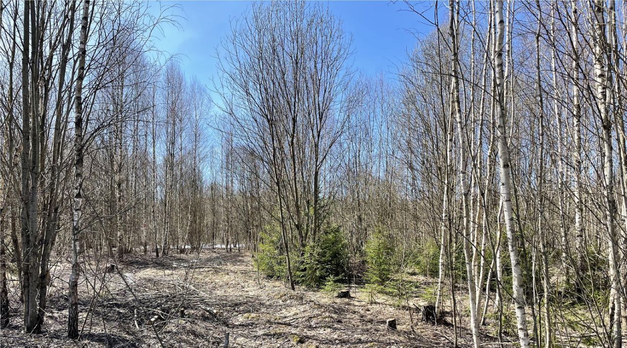 земля городской округ Солнечногорск д Новая фото 7