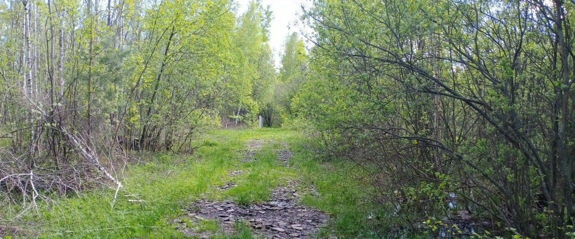 земля р-н Перемышльский д Крутицы снт Лесная поляна с пос, Большие Козлы фото 3