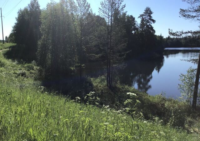 Едровское сельское поселение, Тверская область, Озерный фото