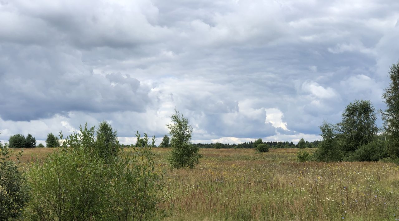 земля р-н Дзержинский д Сени фото 3