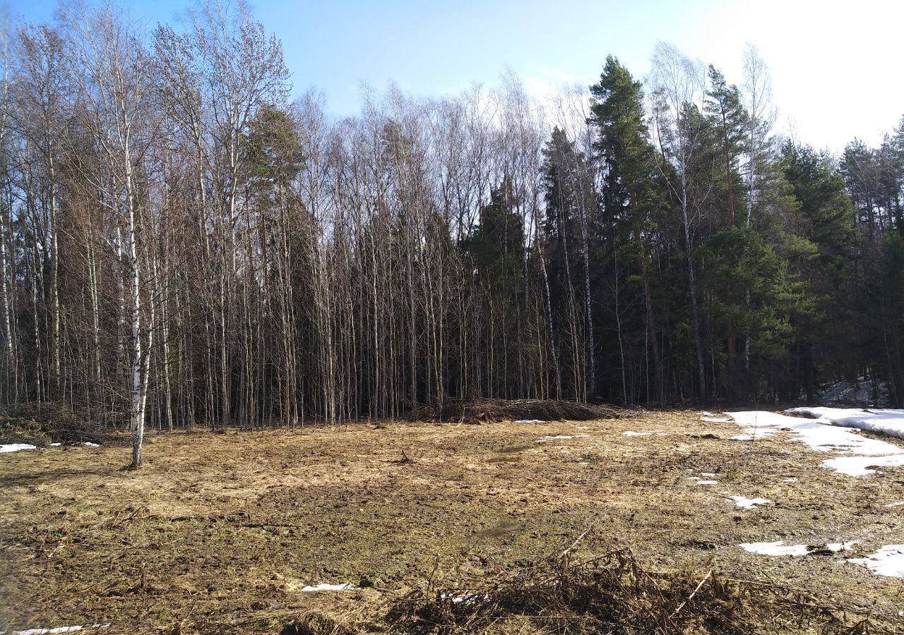 земля городской округ Щёлково с Петровское Красноармейск фото 12