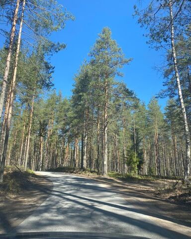 земля Рощинское городское поселение, городской пос. Рощино, Санкт-Петербург, Зеленогорск фото