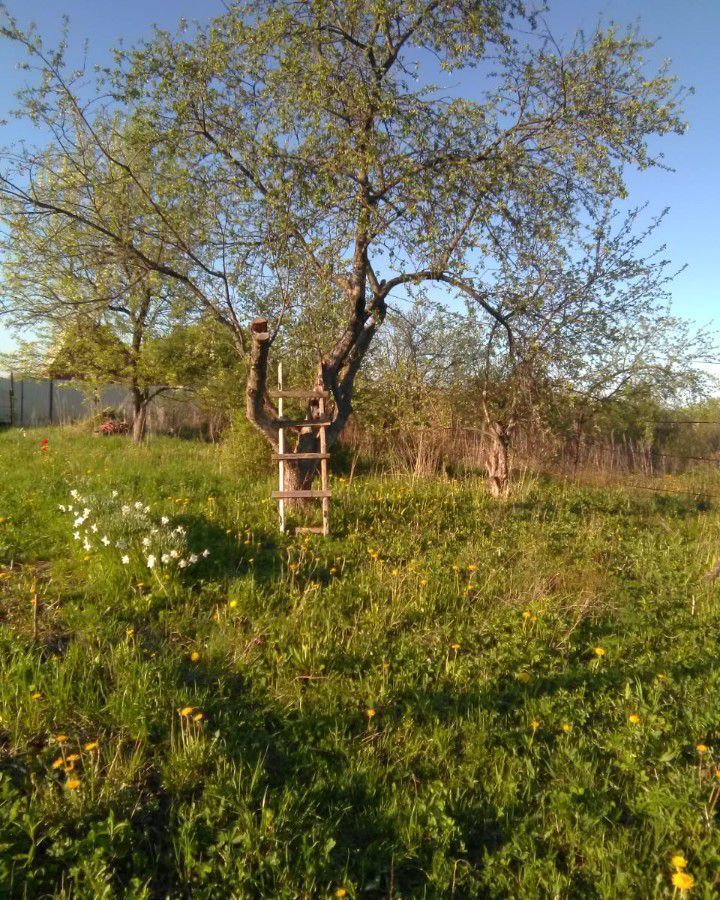 земля городской округ Зарайск д Нижнее Вельяминово снт Вишенка Зарайск фото 2