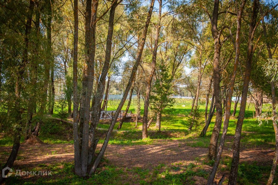 земля городской округ Можайский дачное некоммерческое партнёрство Спутник фото 7