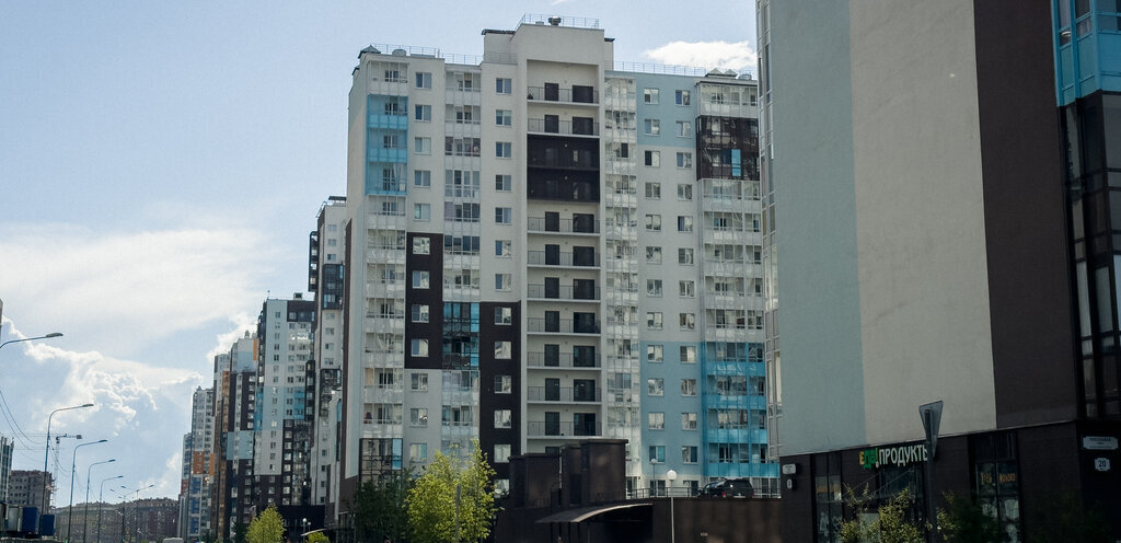 квартира г Санкт-Петербург метро Комендантский Проспект аллея Арцеуловская 21 фото 21