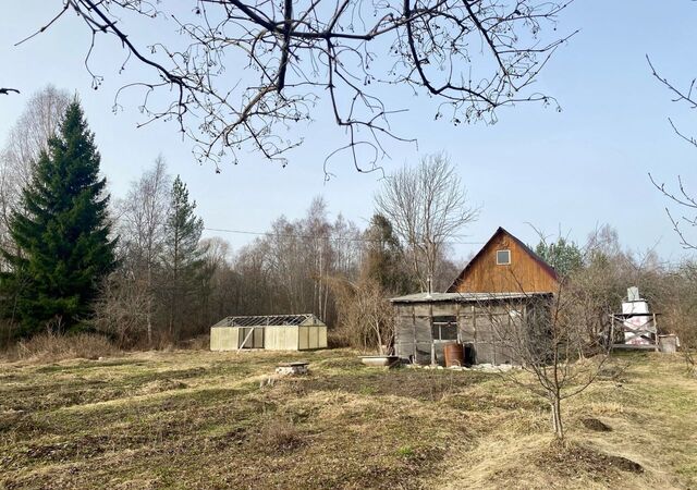 Ершовская волость, садоводческое некоммеческое товарищество Калиновщина, Псков фото