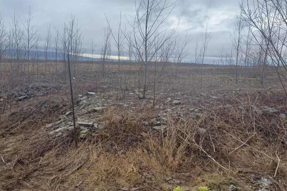 земля городской округ Южно-Сахалинск, ДНТ Снегири фото 1