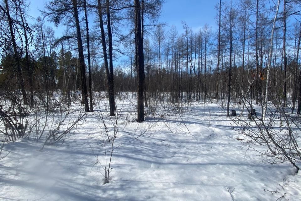 земля у Мегино-Кангаласский улус, Республика Саха Якутия, посёлок городского типа Нижний Бестях фото 2