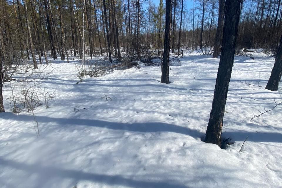 земля у Мегино-Кангаласский улус, Республика Саха Якутия, посёлок городского типа Нижний Бестях фото 3