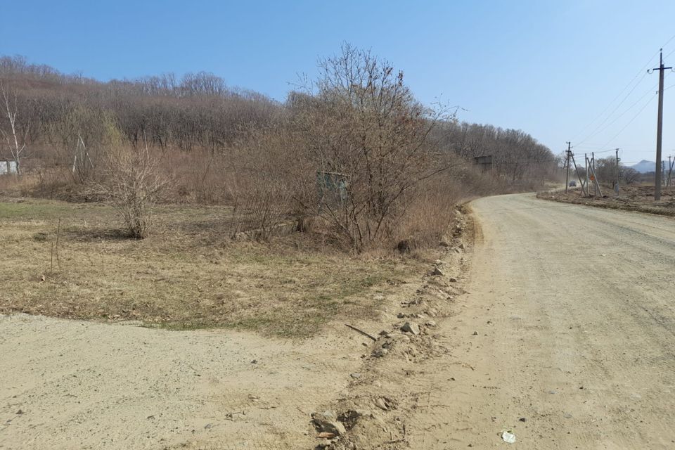 земля р-н Партизанский село Голубовка фото 4