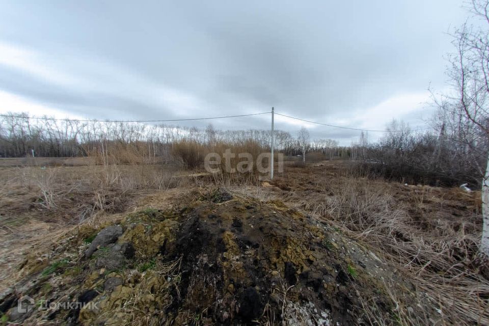 земля г Шадринск ул Развина городской округ Шадринск фото 4