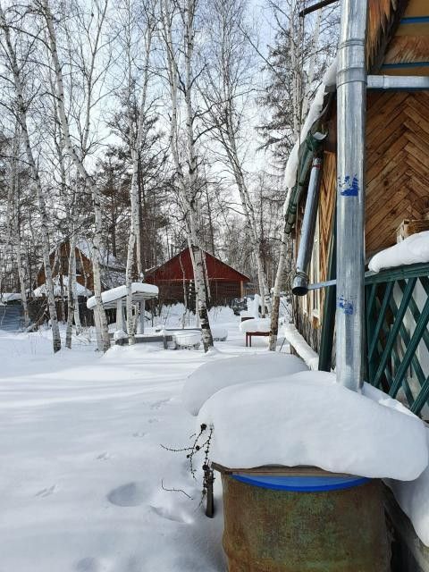 земля городской округ Якутск, Республика Саха Якутия, садово-огородническое товарищество Автодорожник фото 6