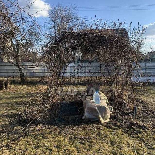 земля г Воронеж сдт Южный городской округ Воронеж, 509 фото 7