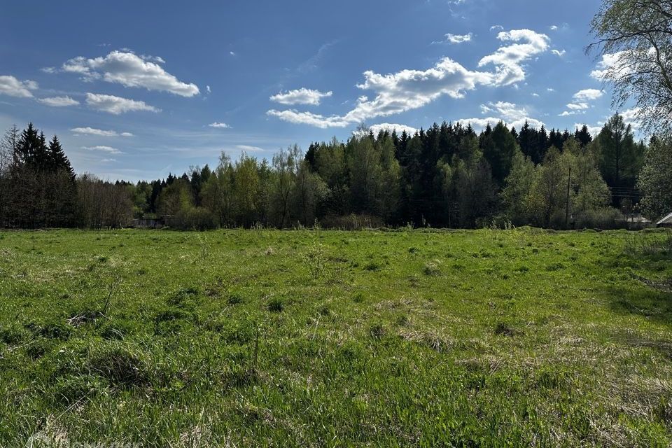 земля городской округ Мытищи с Марфино ул Оранжерейная фото 4