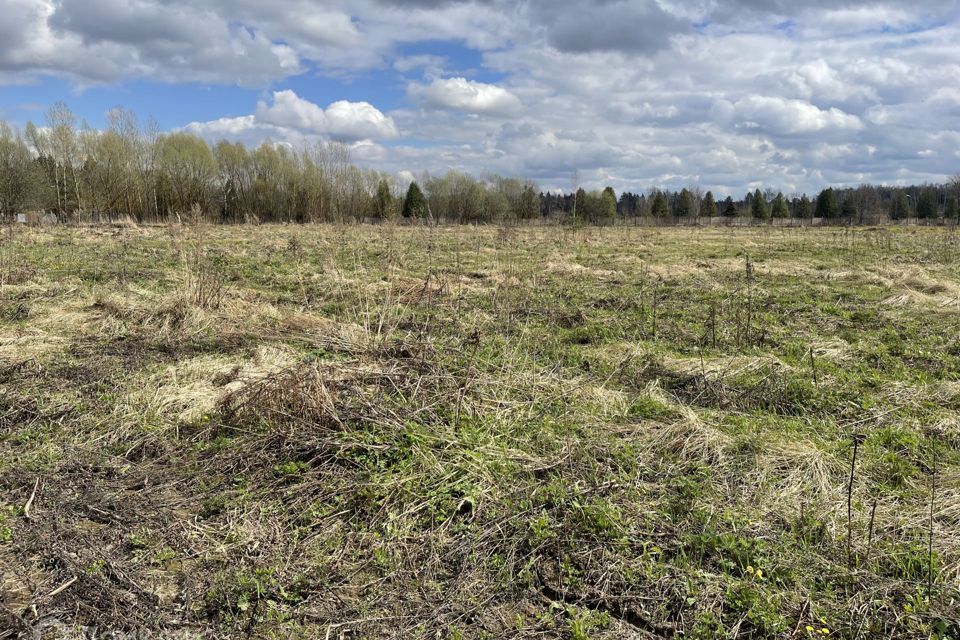 земля городской округ Мытищи село Марфино фото 1