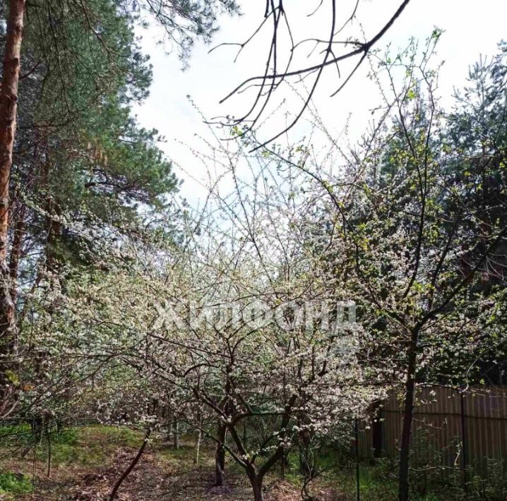 дом городской округ Шебекинский с Безлюдовка пер Молодежный фото 17