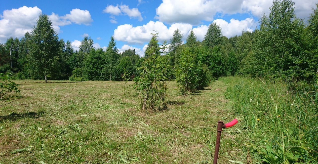 земля городской округ Можайский д Потапово снт Цитофрез Уваровка фото 8