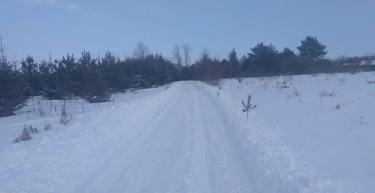 земля городской округ Кашира д. Клубня фото 14