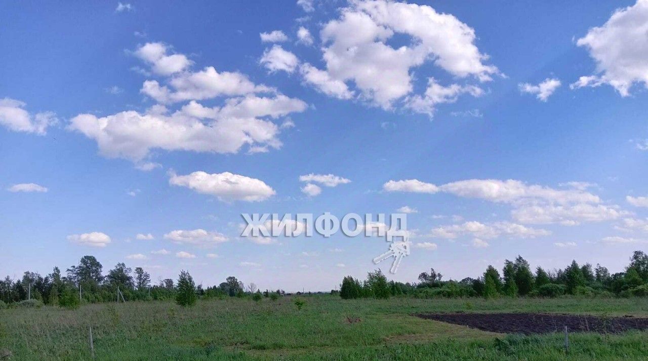 земля р-н Колыванский с Соколово снт Пять озер фото 2