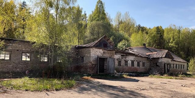 ул Лесная д. Лезги фото