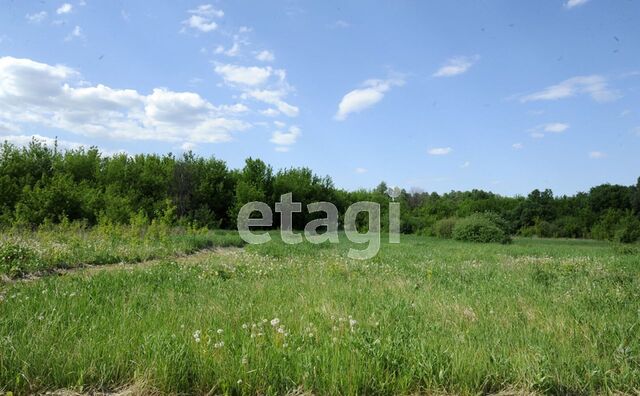 земля Рогачёвское сельское поселение, Каширское фото