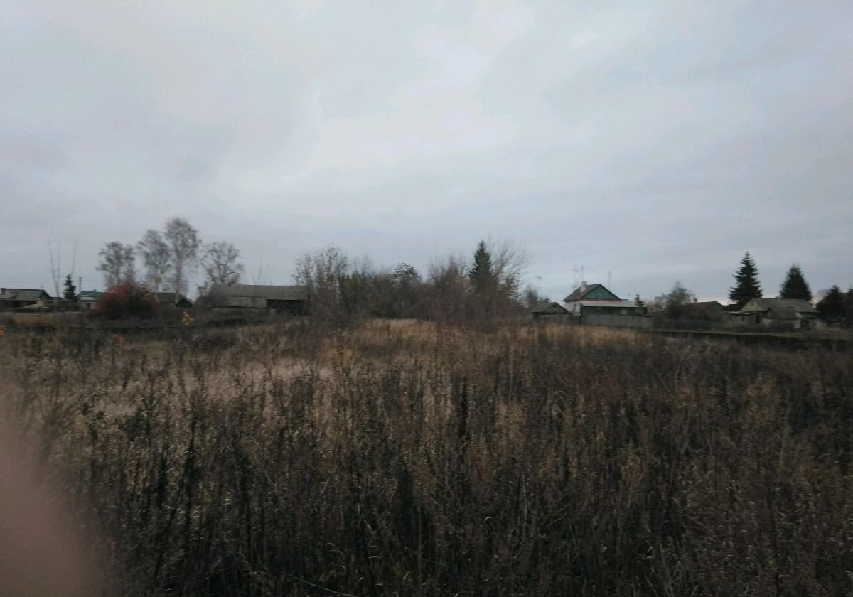 земля р-н Мичуринский с Турмасово Мичуринск фото 2