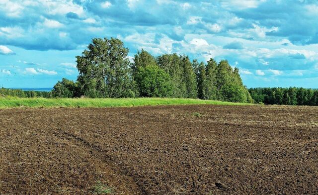 земля Теляковское, муниципальное образование, Ясногорск фото