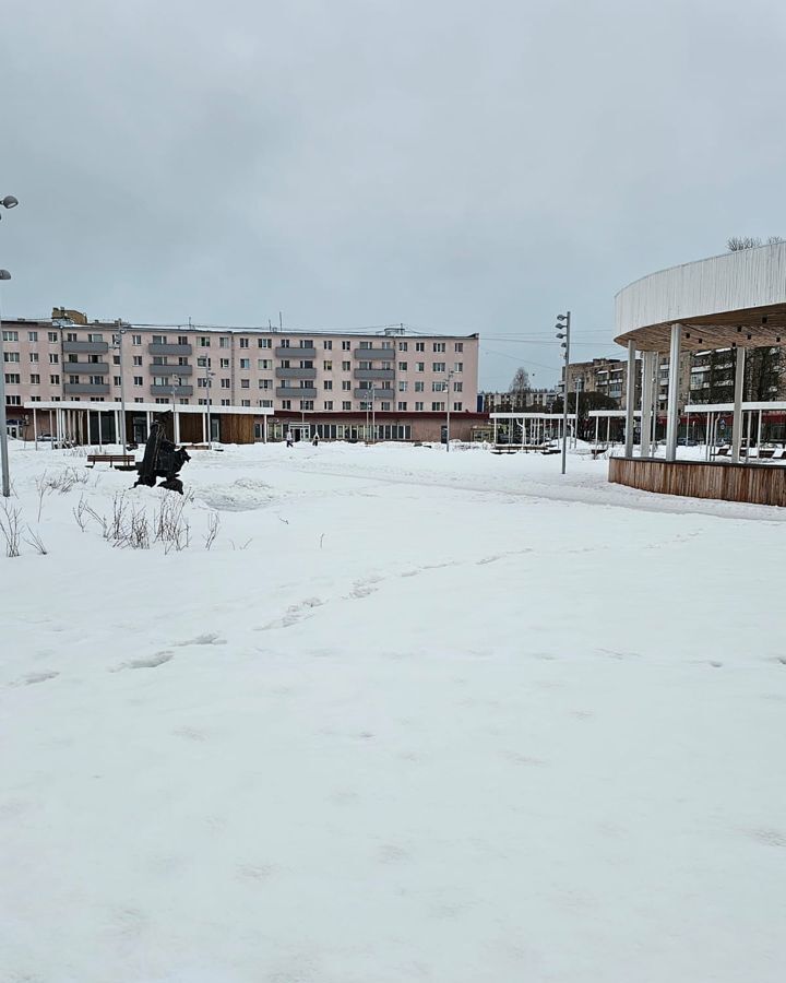 свободного назначения р-н Выборгский г Светогорск ул Пограничная 7 Светогорское городское поселение фото 16