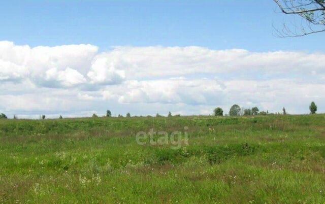 ул Садовая Старооскольский городской округ фото