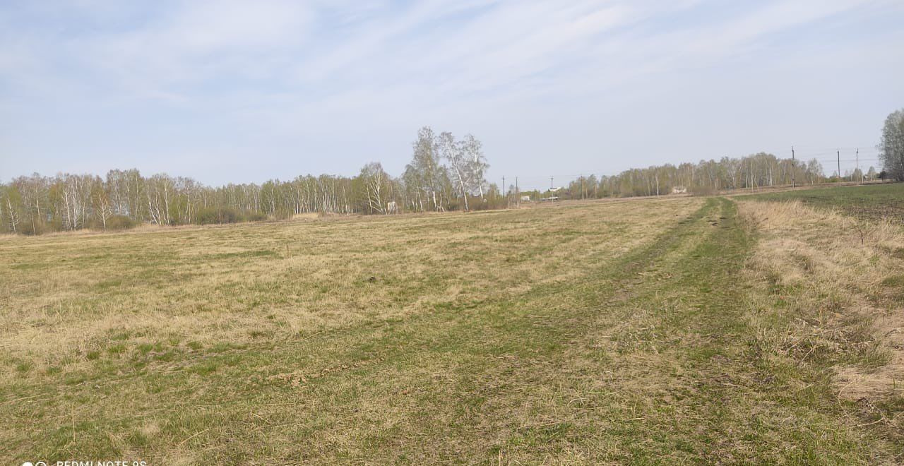 земля р-н Омский с Петровка ул Садовая 15 Омск фото 10