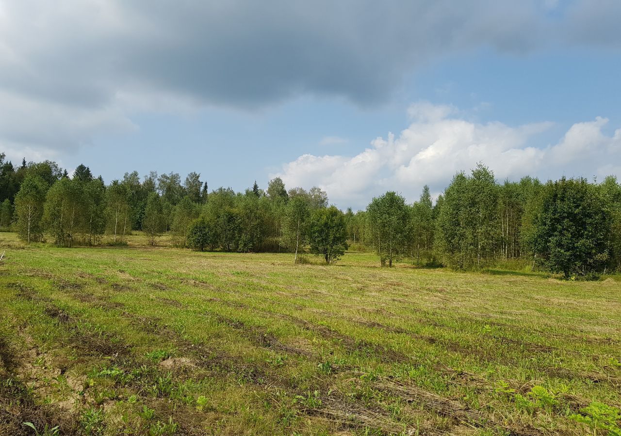 земля городской округ Наро-Фоминский д Настасьино Наро-Фоминск фото 11