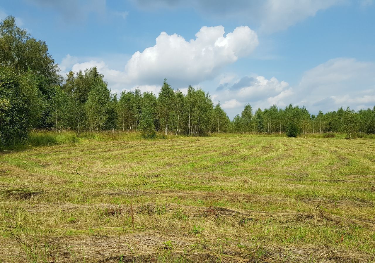 земля городской округ Наро-Фоминский д Настасьино Наро-Фоминск фото 14