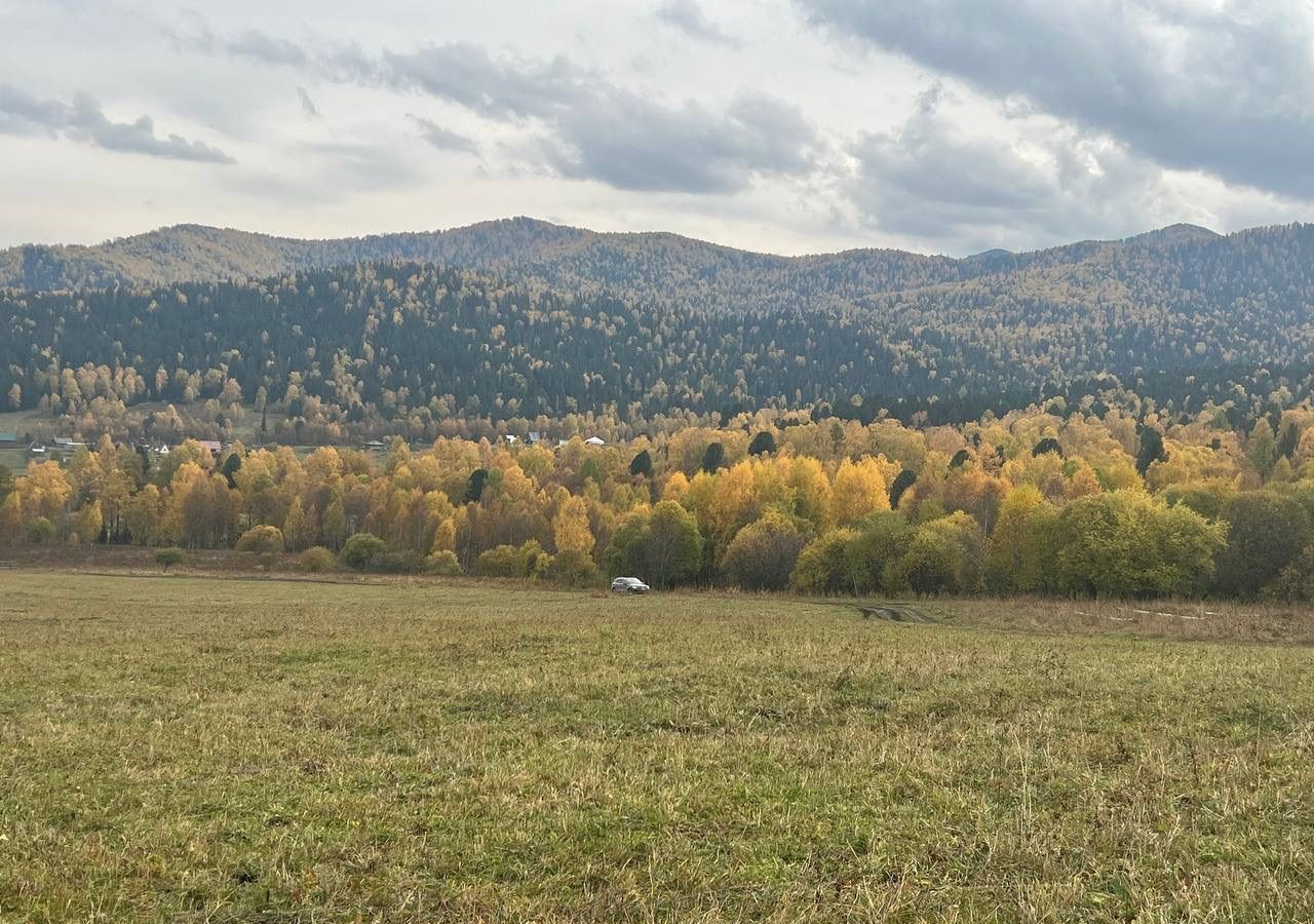 земля р-н Чемальский п Верх-Анос ул Центральная Горно-Алтайск фото 8